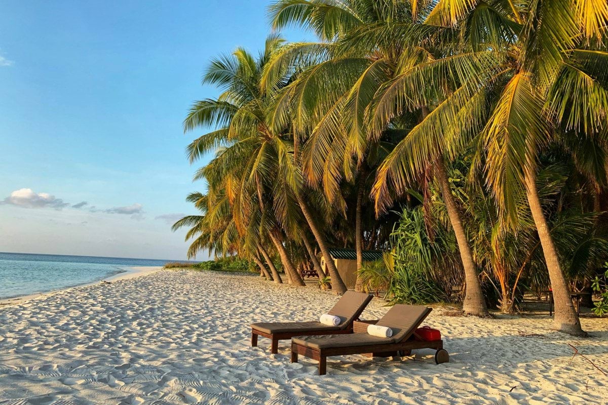 brown wooden bench on beach during daytime